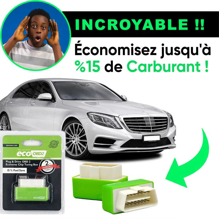 Boîtier de réglage de puce économique universel
